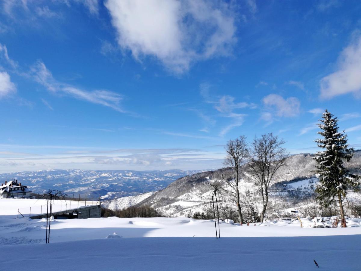 Golden Sky - Milmari Resort & Spa Kopaonik Kültér fotó